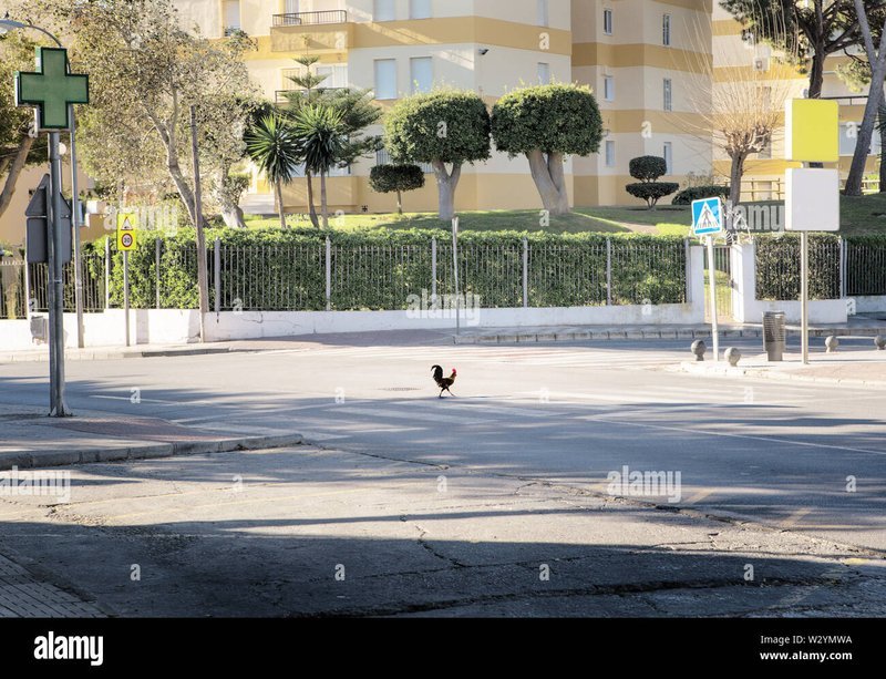 Descubre el Entusiasmo en Chicken Road, el Juego de Apuestas más Famoso de